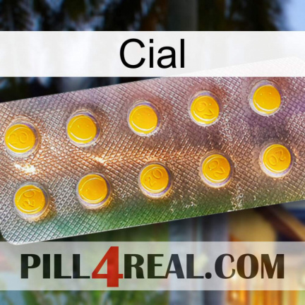 Cial new11